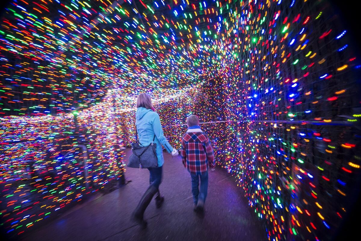 An Elephant Keeper at the Oregon Zoo Suggested Turning ZooLights Into a
