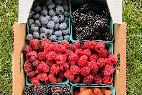 Summer’s Best Date-Night Activity: Berry Picking at Columbia Farms U-Pick