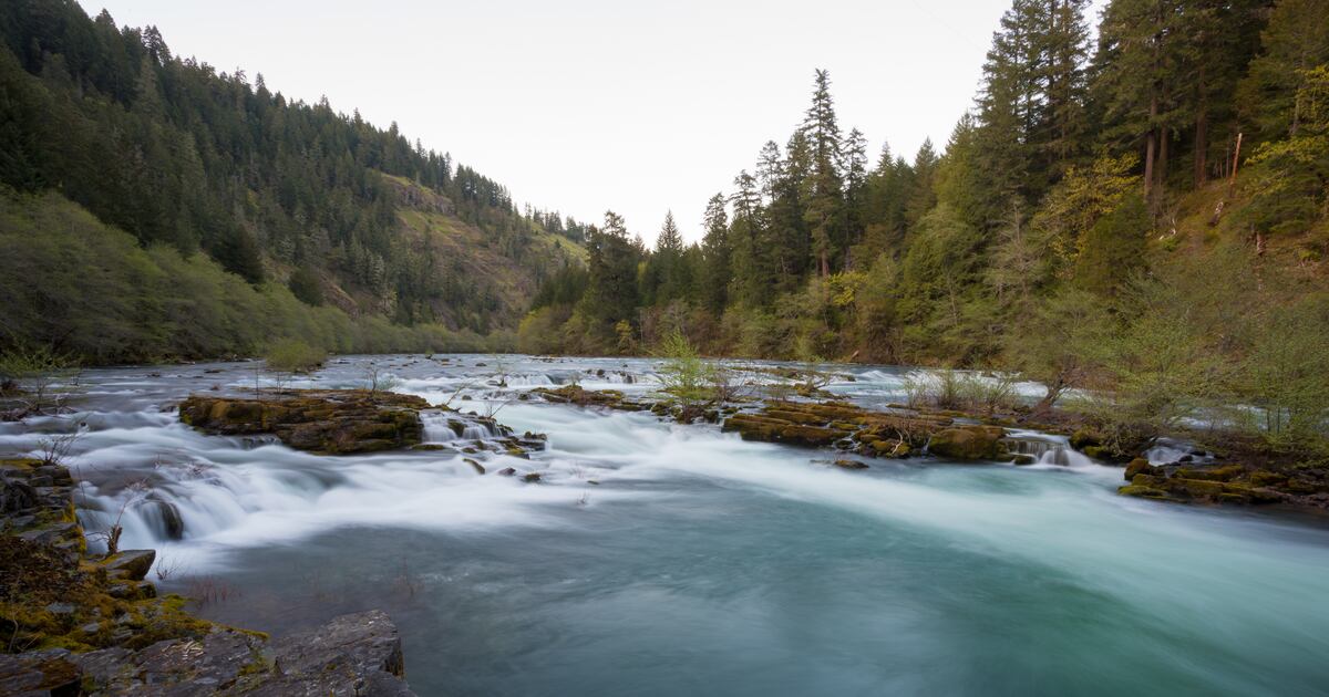 36 Hours of Rugged River Recreation in the Umpqua National Forest